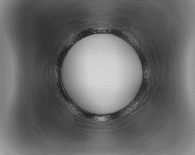 X0000116560662200912100944