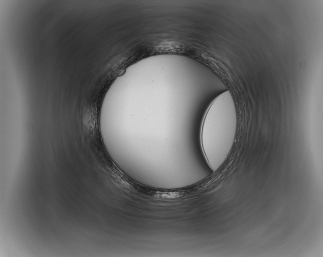X0000116560665200912100944