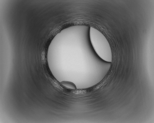 X0000116560670200912100944