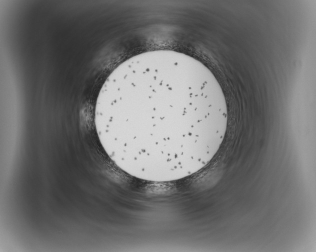 X0000116560672200912100944