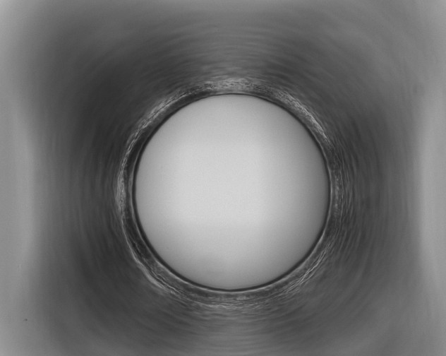 X0000116560674200912100944