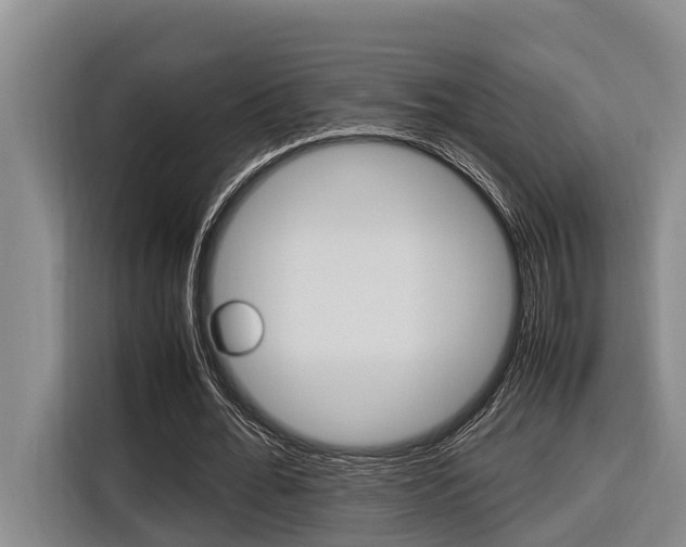 X0000116560676200912100944