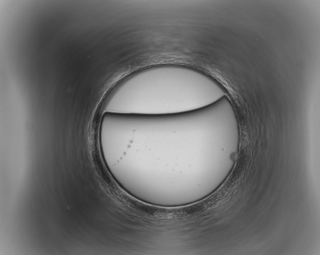 X0000116560679200912100944
