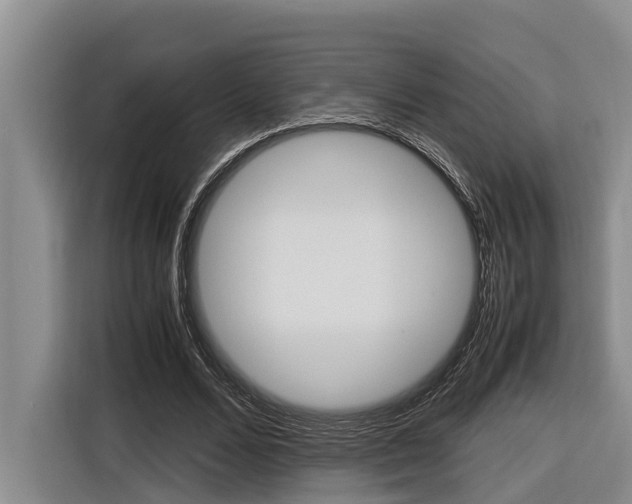 X0000116560680200912100944