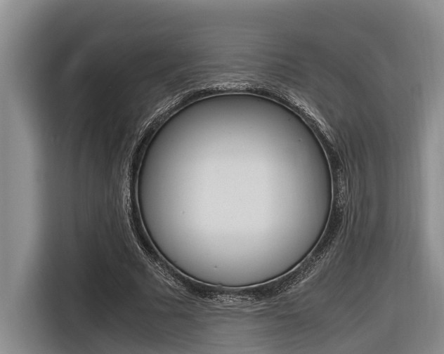 X0000116560681200912100944
