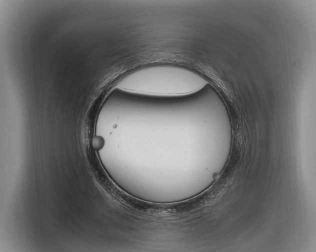 X0000116560683200912100944