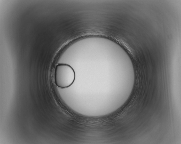 X0000116560684200912100944