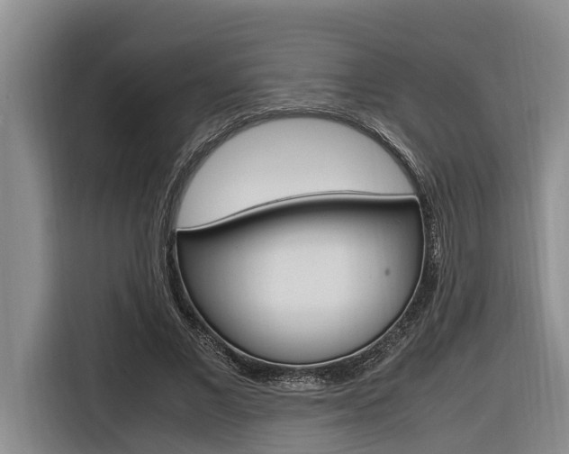 X0000116560685200912100944