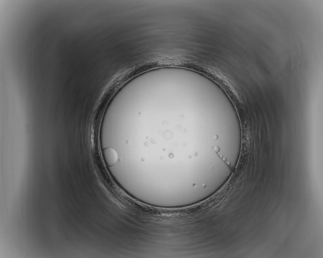 X0000116560686200912100944