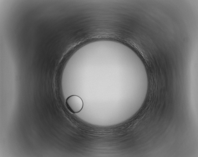 X0000116560688200912100944