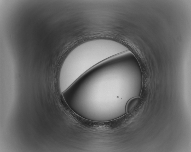 X0000116560689200912100944