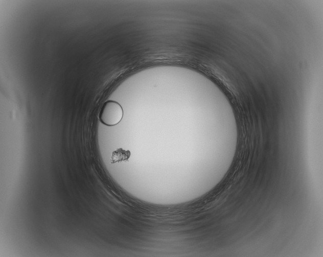 X0000116560692200912100944