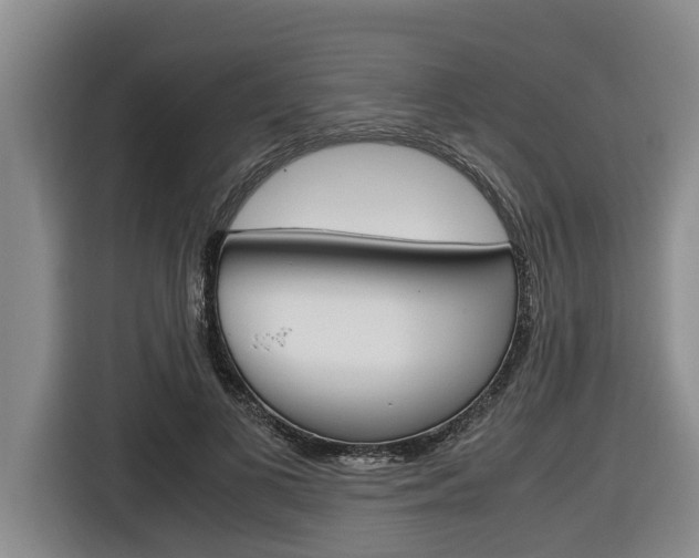 X0000116560693200912100944