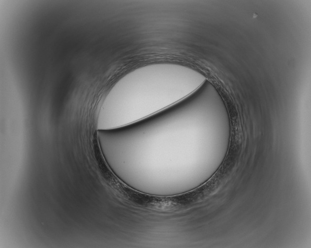 X0000116560695200912100944