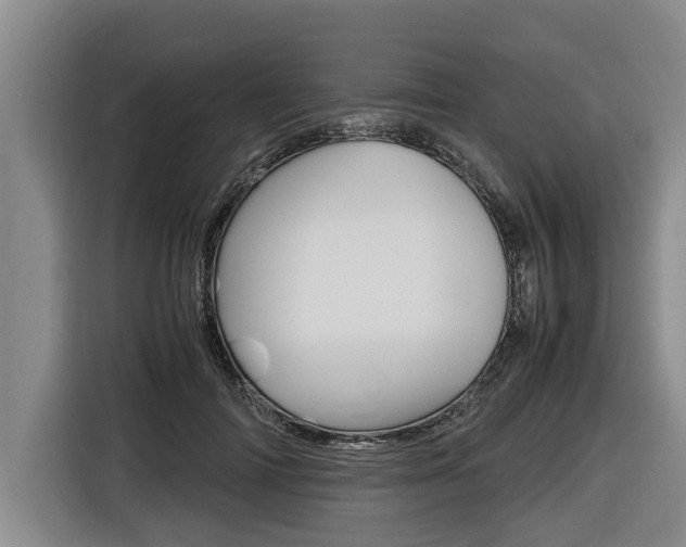 X0000116560698200912100943