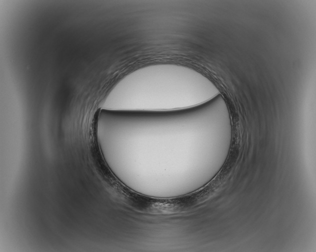X0000116560699200912100943