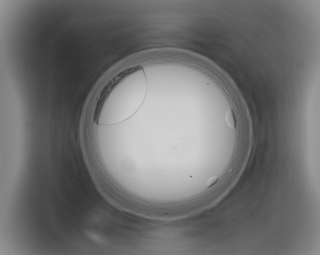 X0000116560701200912100943
