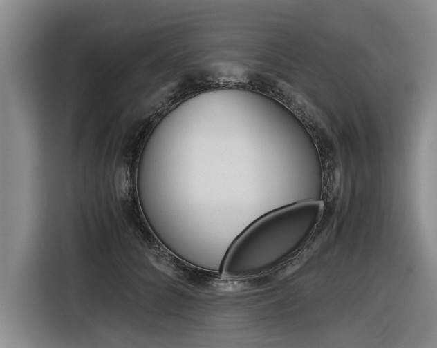 X0000116560704200912100943