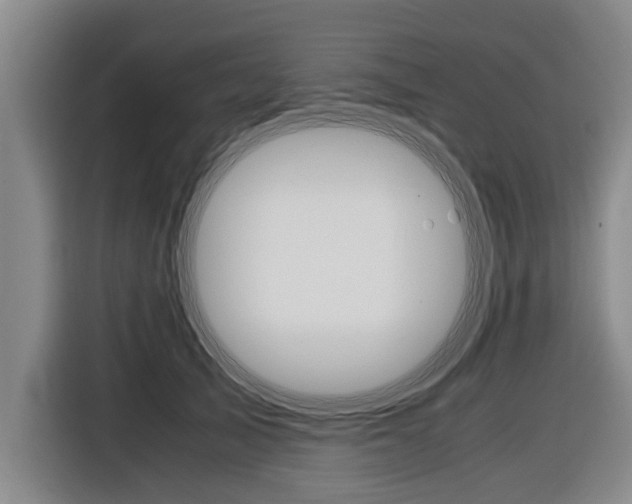 X0000116560705200912100943