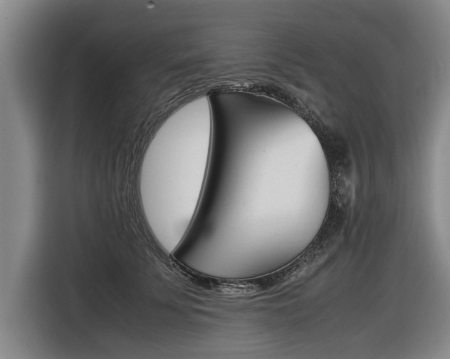 X0000116560707200912100943