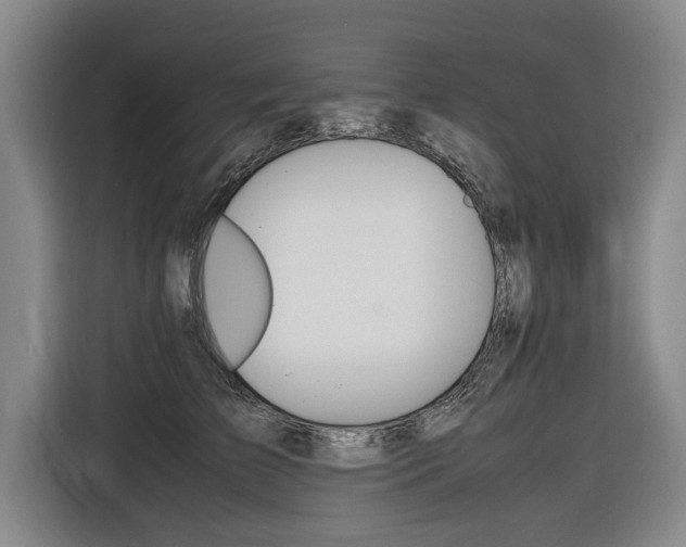 X0000116560709200912100943