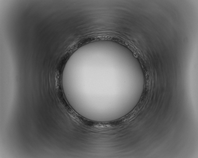 X0000116560712200912100943