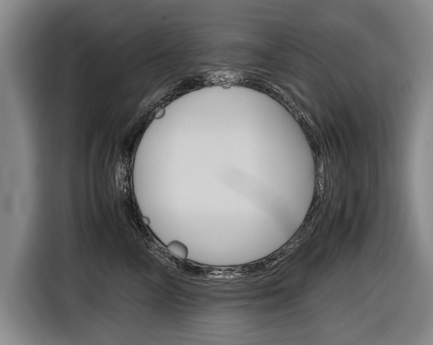X0000116560714200912100943