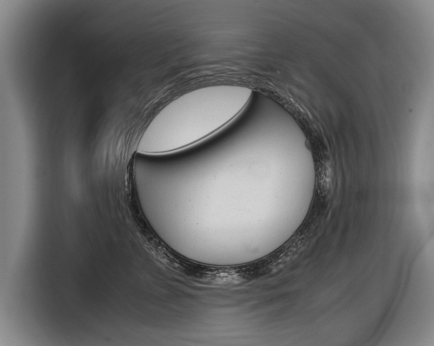 X0000116560715200912100943