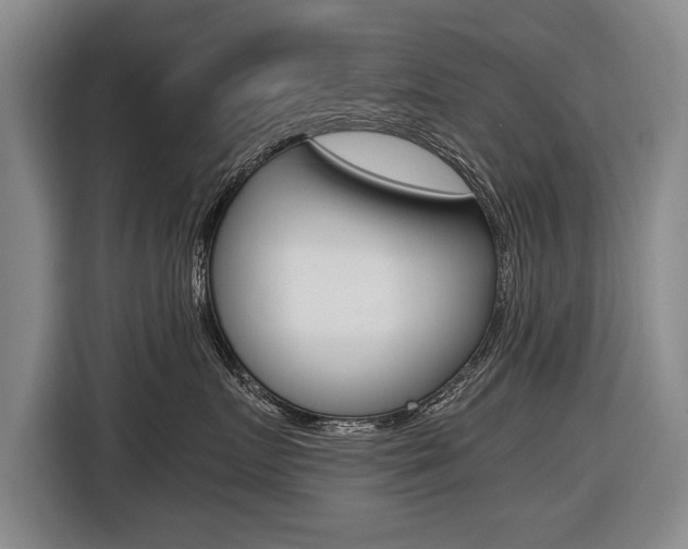 X0000116560719200912100943