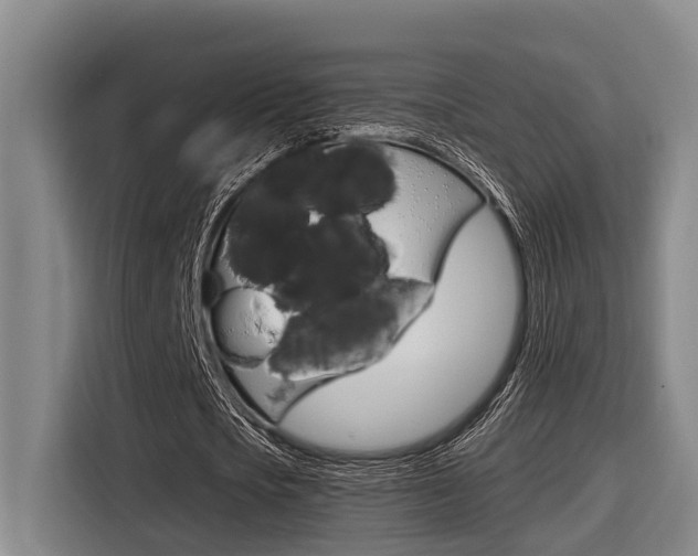 X0000116560721200912100943