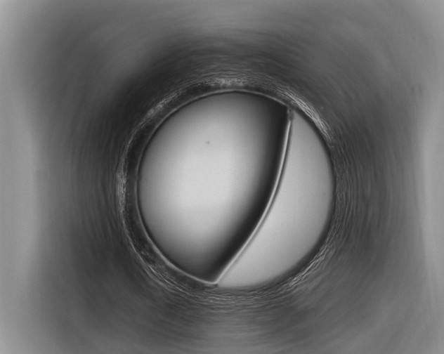 X0000116560722200912100943
