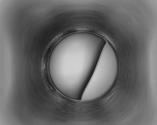 X0000116560723200912100943