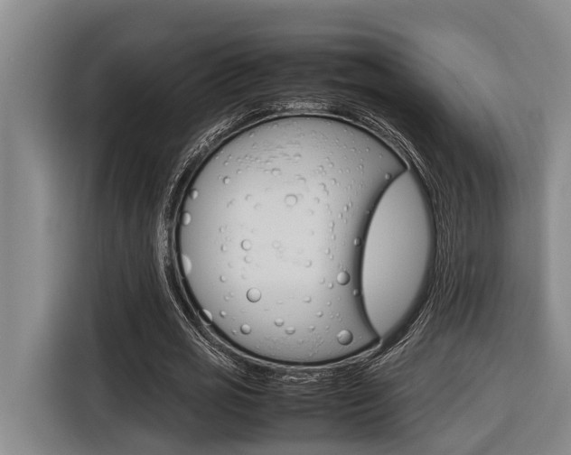 X0000116560725200912100943