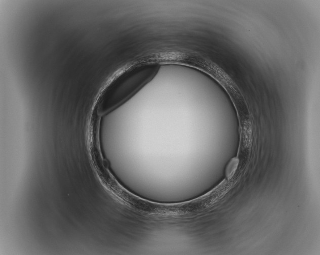 X0000116560726200912100943