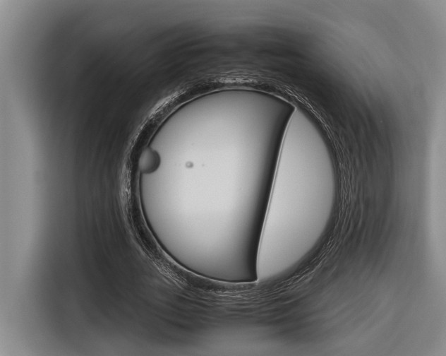 X0000116560727200912100943