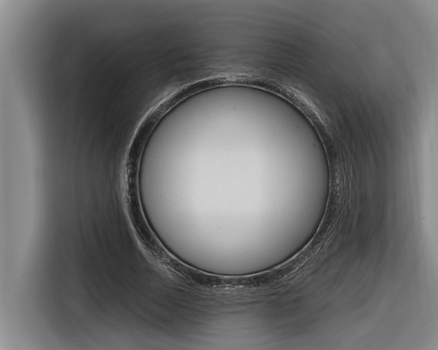 X0000116560730200912100943