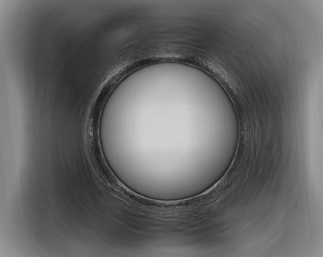 X0000116560731200912100943