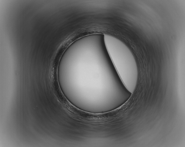 X0000116560735200912100943