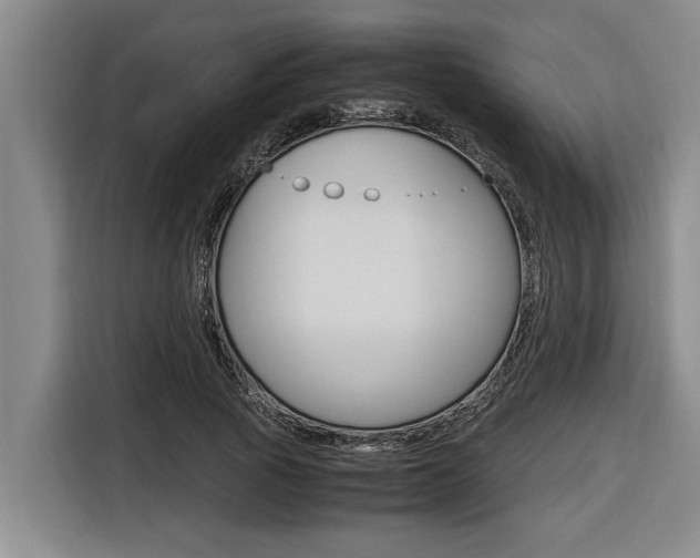 X0000116560737200912100943