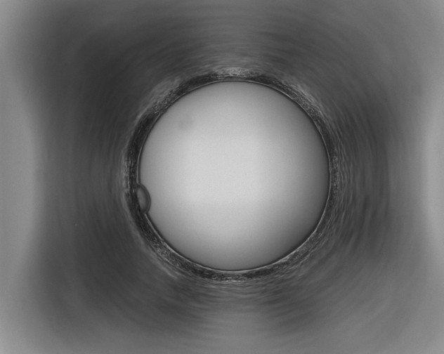 X0000116560738200912100943