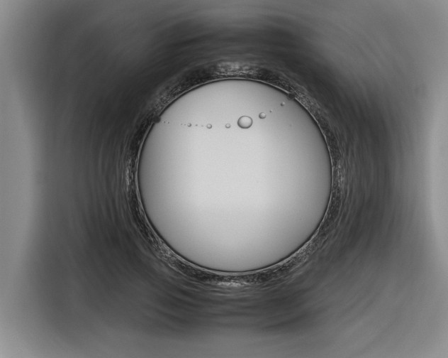 X0000116560741200912100943