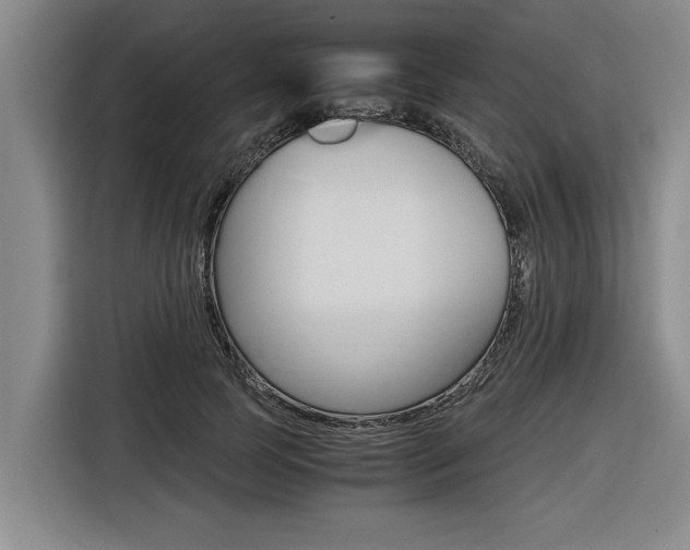 X0000116560745200912100943