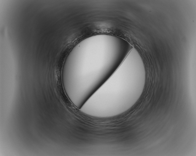 X0000116560747200912100943