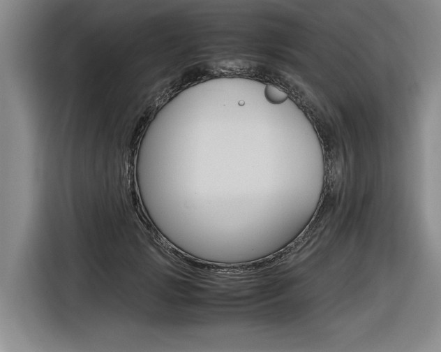 X0000116560749200912100943