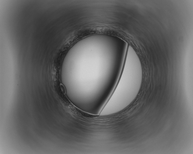X0000116560750200912100943