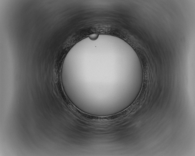 X0000116560751200912100943