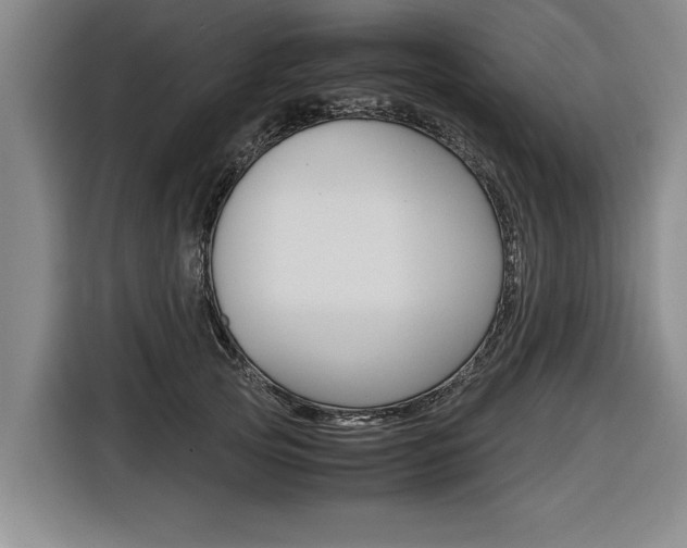 X0000116560753200912100943