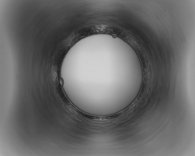 X0000116560754200912100943