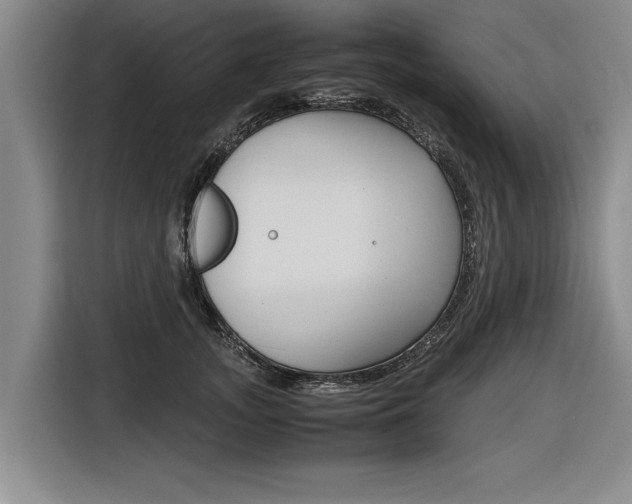 X0000116560755200912100943