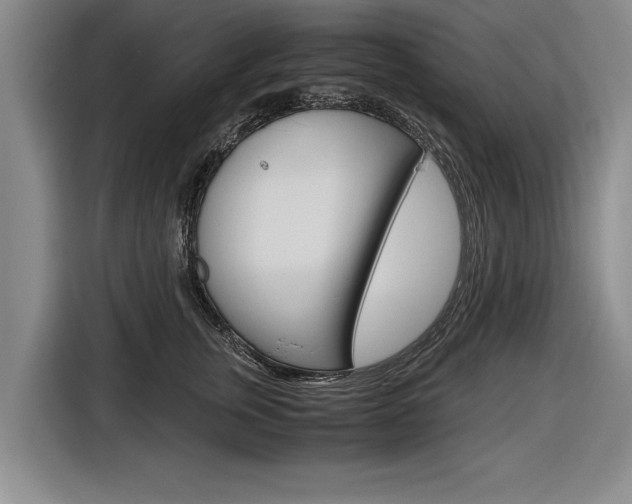 X0000116560759200912100943